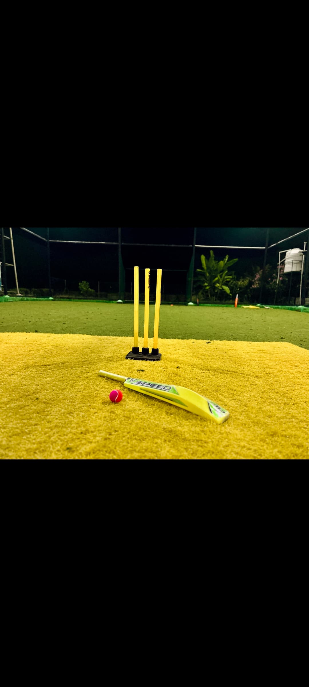 Turf Star 💫 - Photo 4