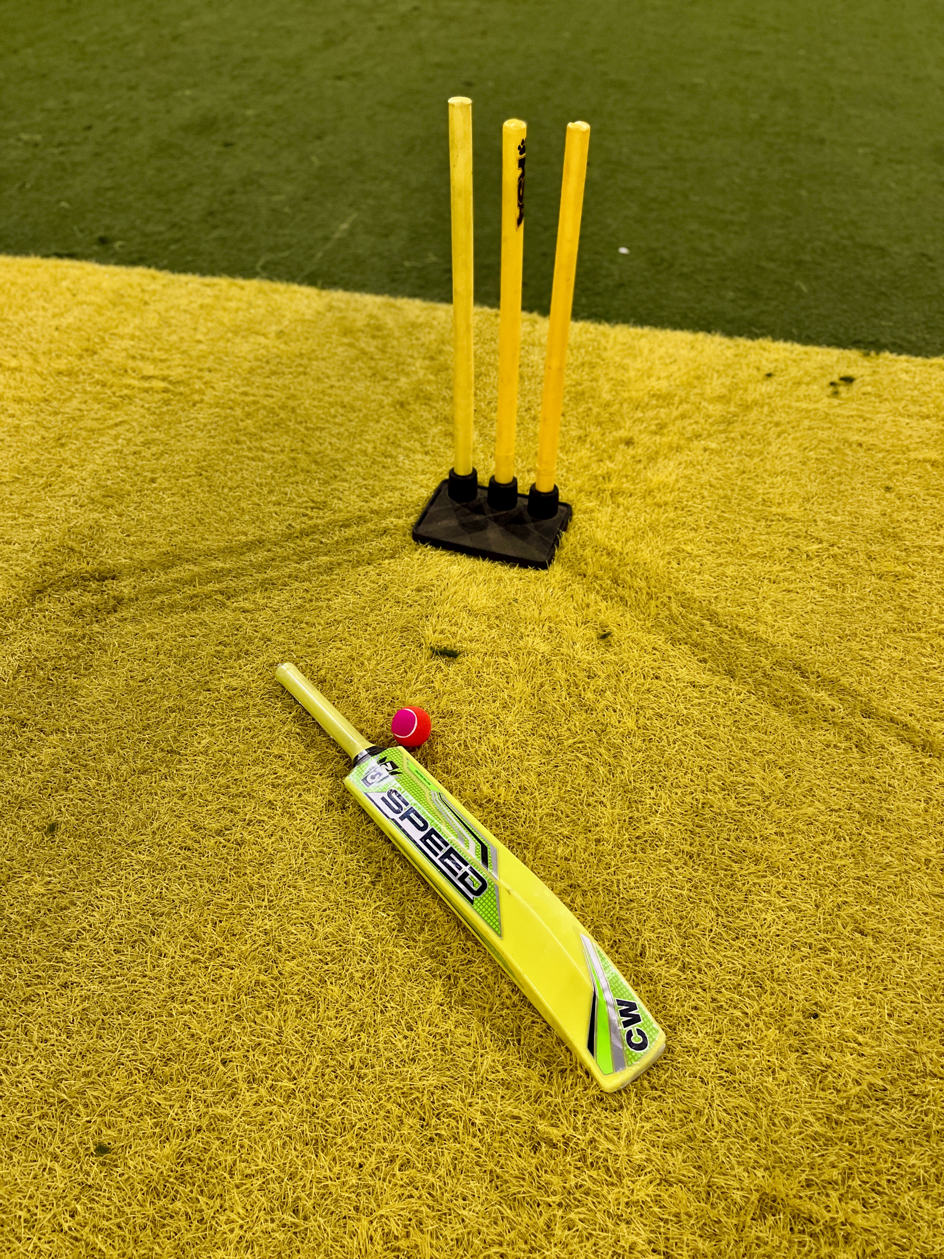 Turf Star 💫 - Photo 5