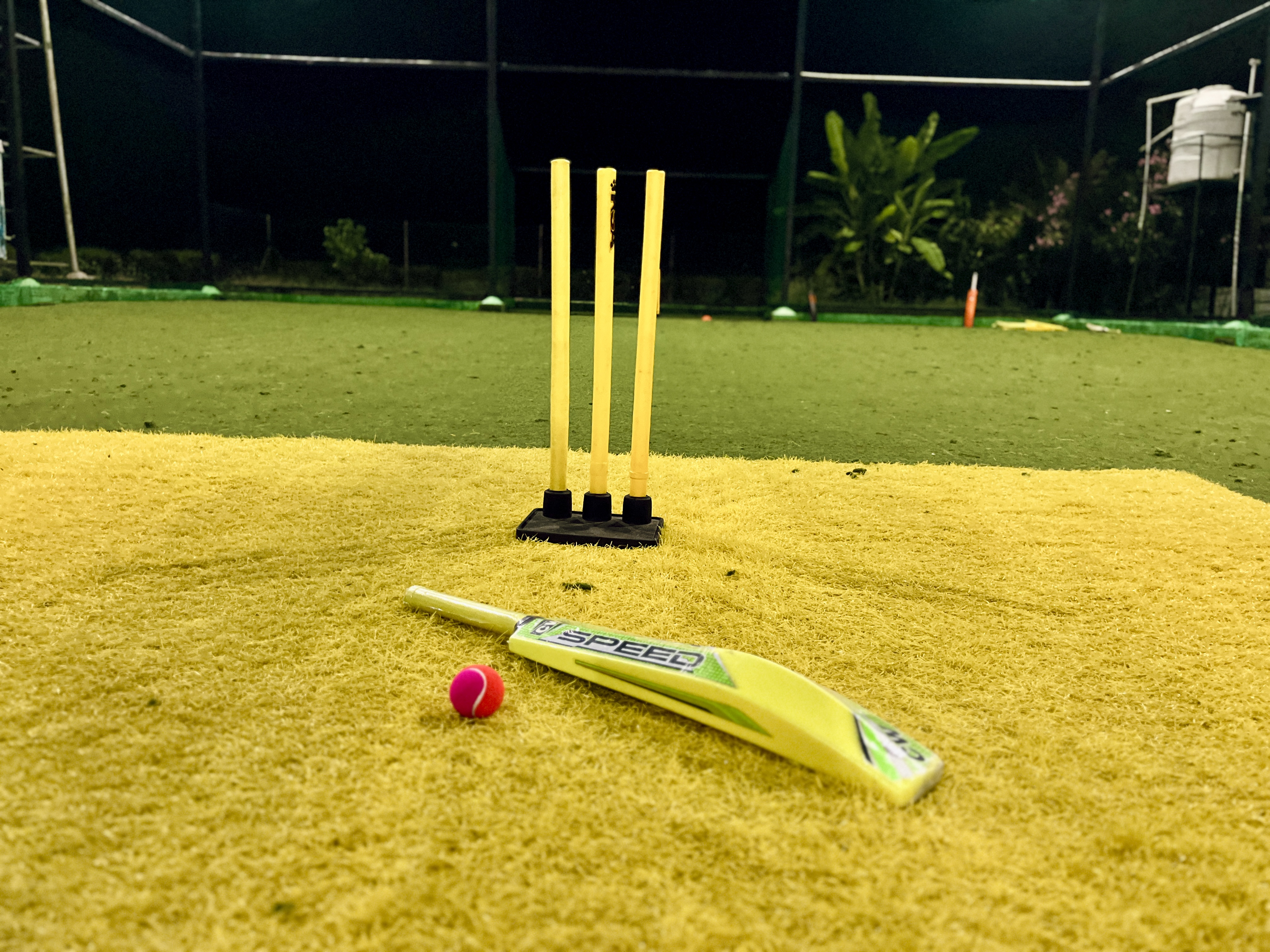 Turf Star 💫 - Photo 4